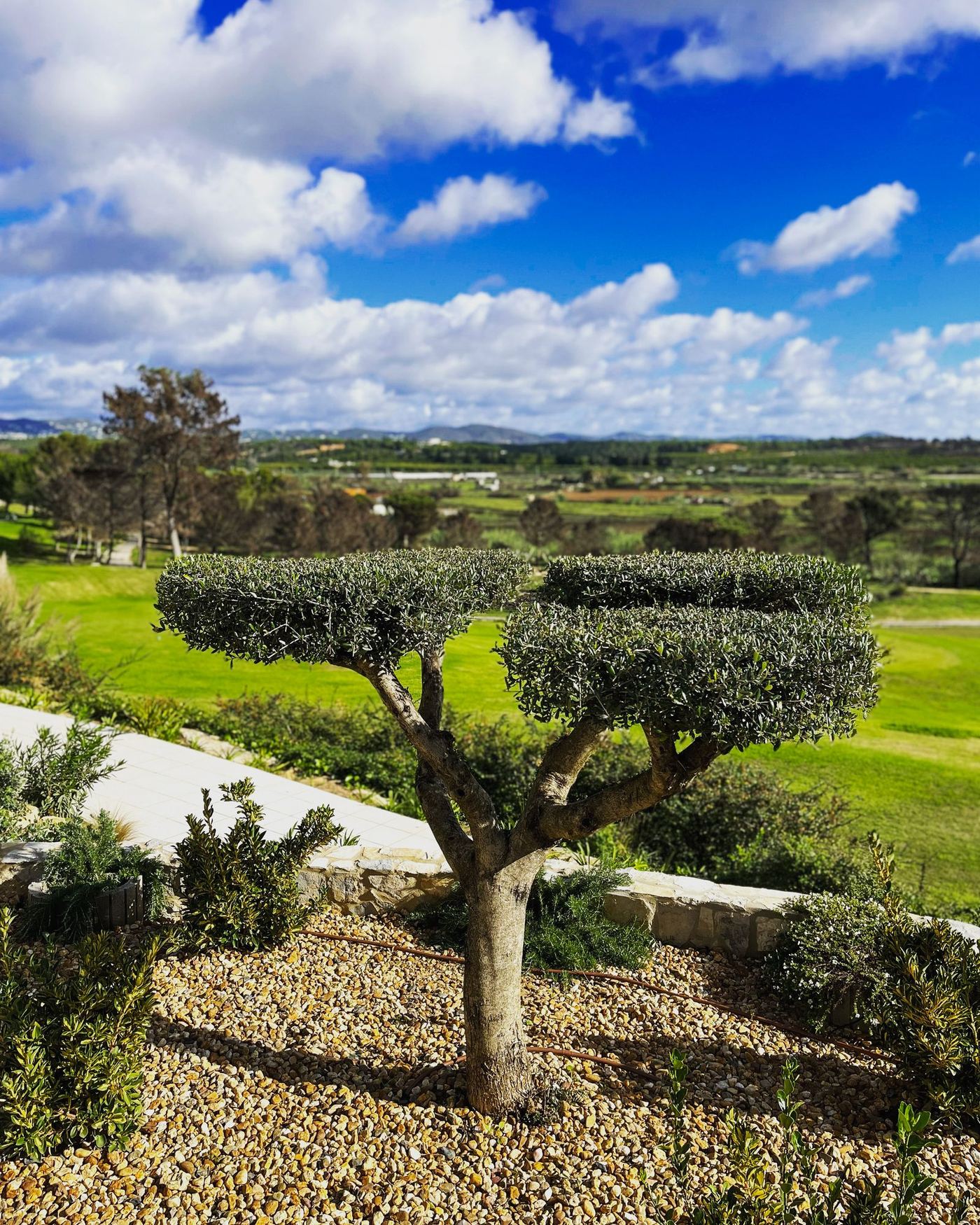 Jardim Tamas Garden em Pinheiros Altos